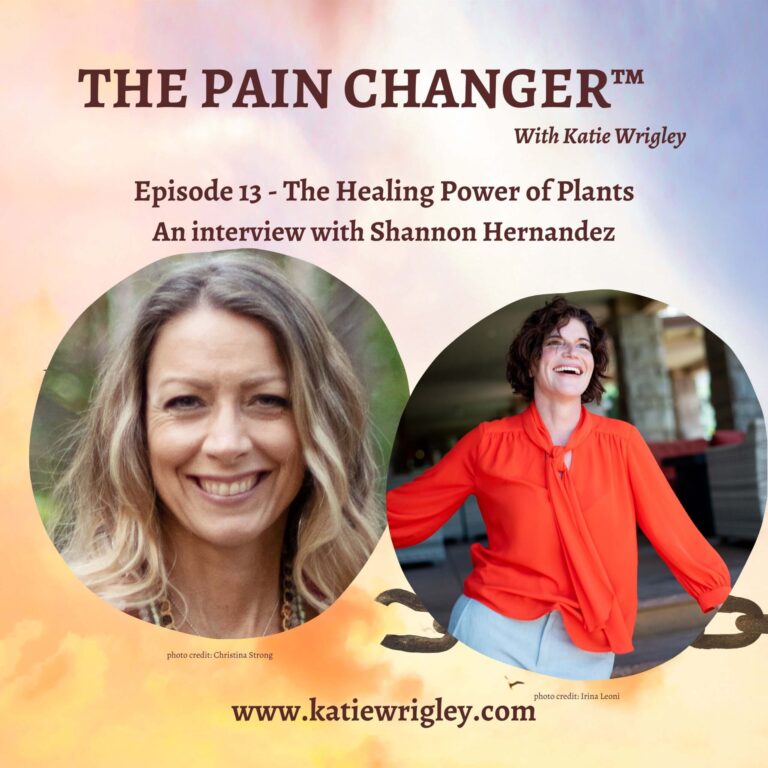 Episode 13: The Healing Power of Plants
